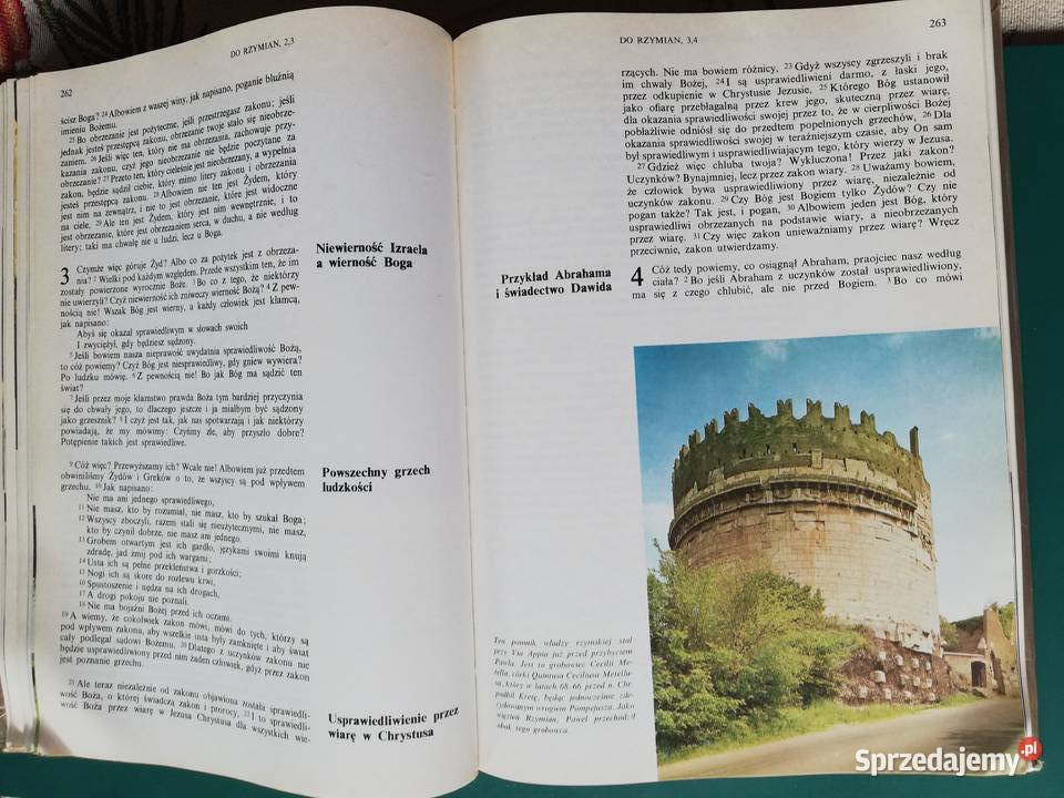 Nowy Testament z ilustracjami Książki naukowe i popularnonaukowe