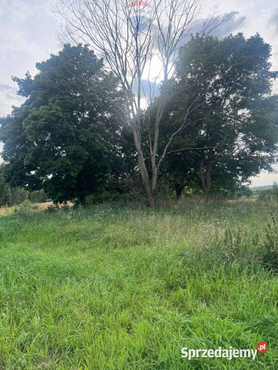 Przezmark działka 2038 m jeziora i lasów sprzedam