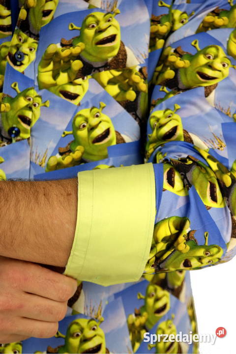 DANIEL BESSI Koszula Męska Fb090 Bajka SHREK wielkopolskie Ostrów Wielkopolski