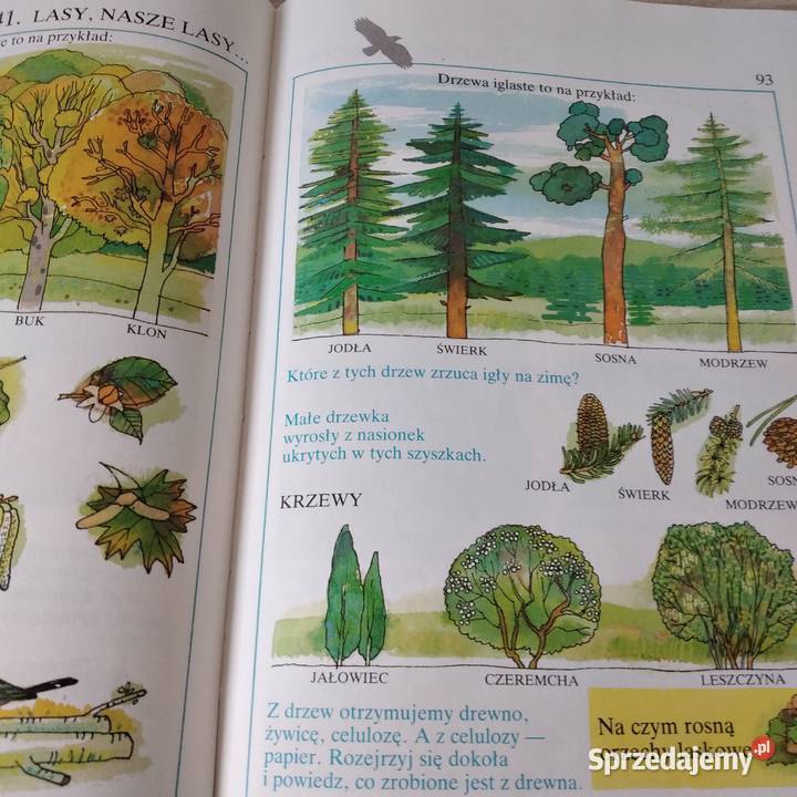 Sezamencyklopedia obrazkowa dzieci