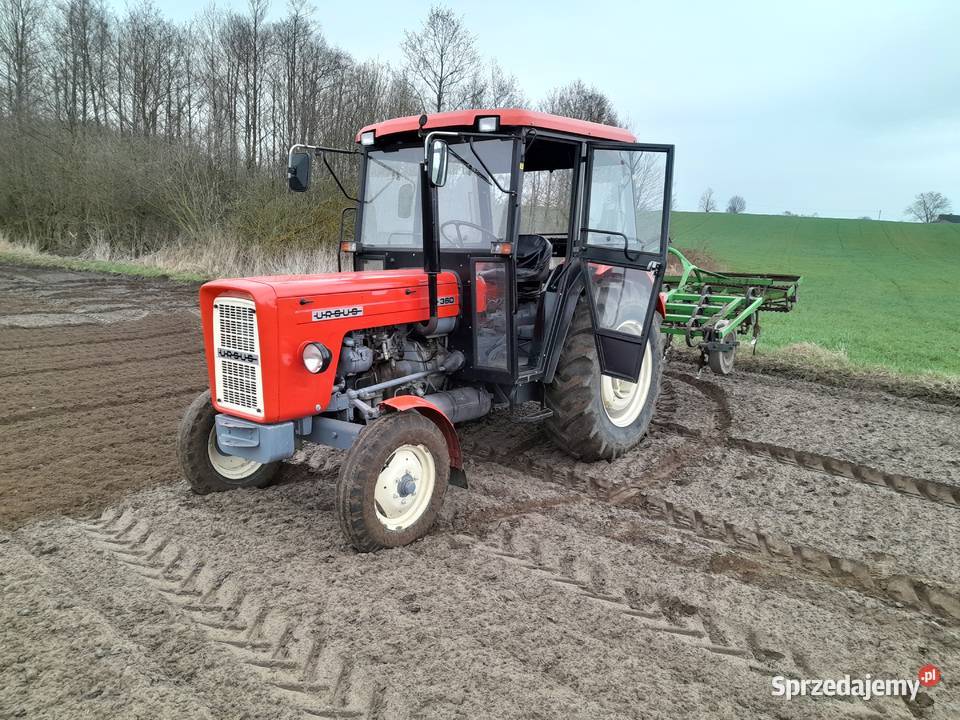 C 360 ursus Ursus Lipno