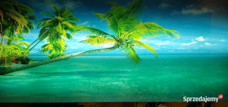 Obraz retro z dźwiękiem świecący 8widoków palmy sprzedam