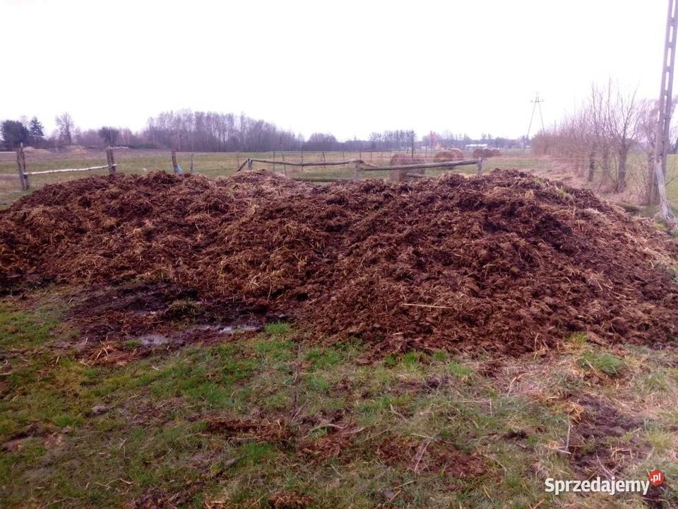 Obornik koński sprzedam zamienię Pozostałe Strupin Mały sprzedam