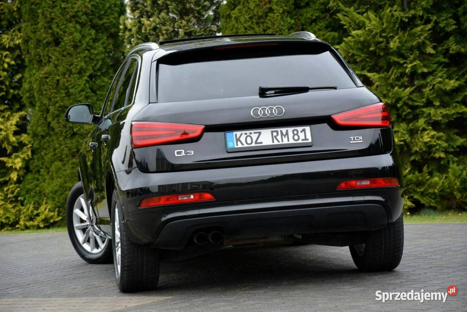 Audi Q3 Panorama Quattro Ledy biXenon Navi automatyczna Ostrów Mazowiecka