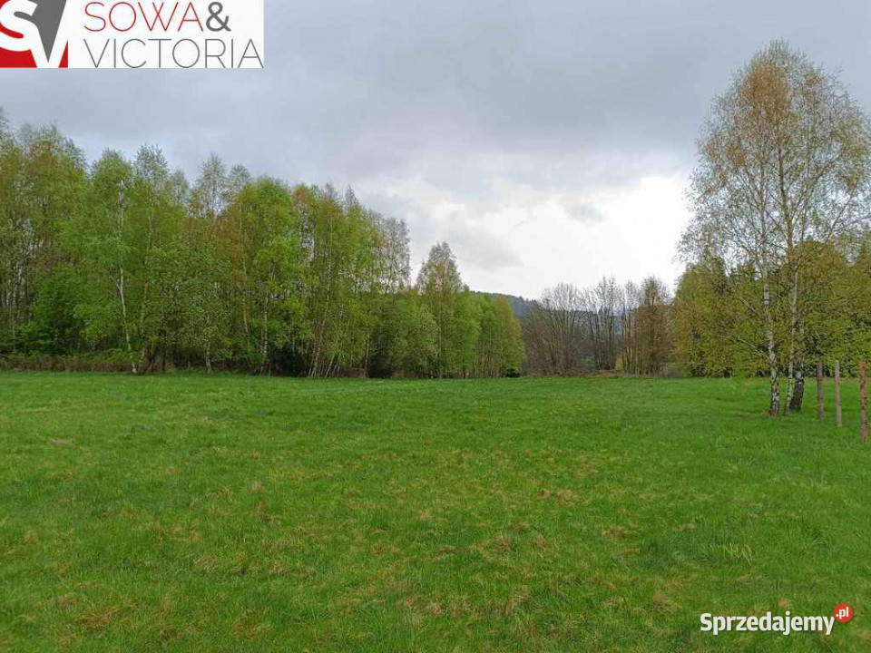 Sielankowa działka z lasem cisza i spokój Bartnica