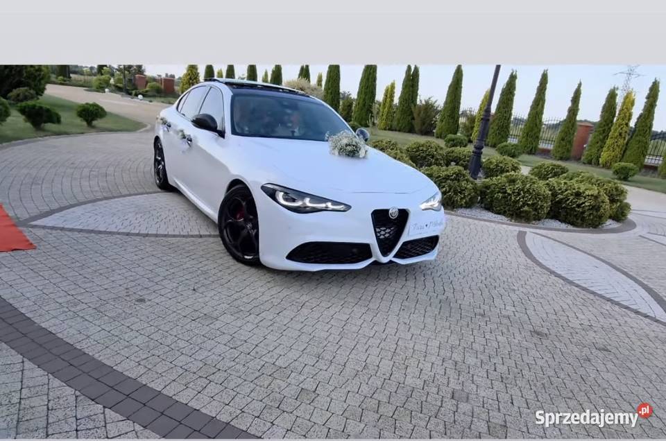 Alfa Romeo Giulia do ślubu białą biały samochód Goworowo