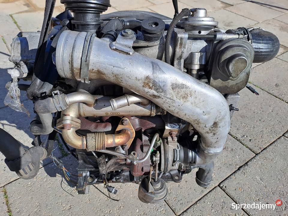 Audi Volkswagen 19 TDi 131 silnik ASZ BLT śląskie sprzedam