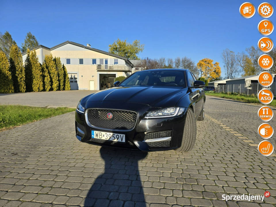 Jaguar XF 2016 Lift 2.0 D 180 KM Automat Skóra Navi Ledy X260 (2015-)