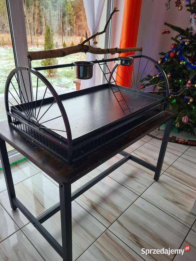 Ara Ararauna samiczkazamiana na auto zachodniopomorskie Steklno sprzedam