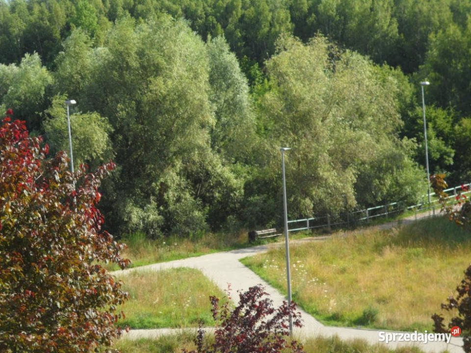 Sprzedam bezp 2 pok miesz w Gdańsku z widokiem Gdańsk sprzedam