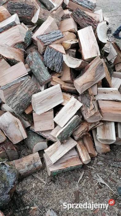 Drewno opałowe brzoza buk dąb jesion grab
