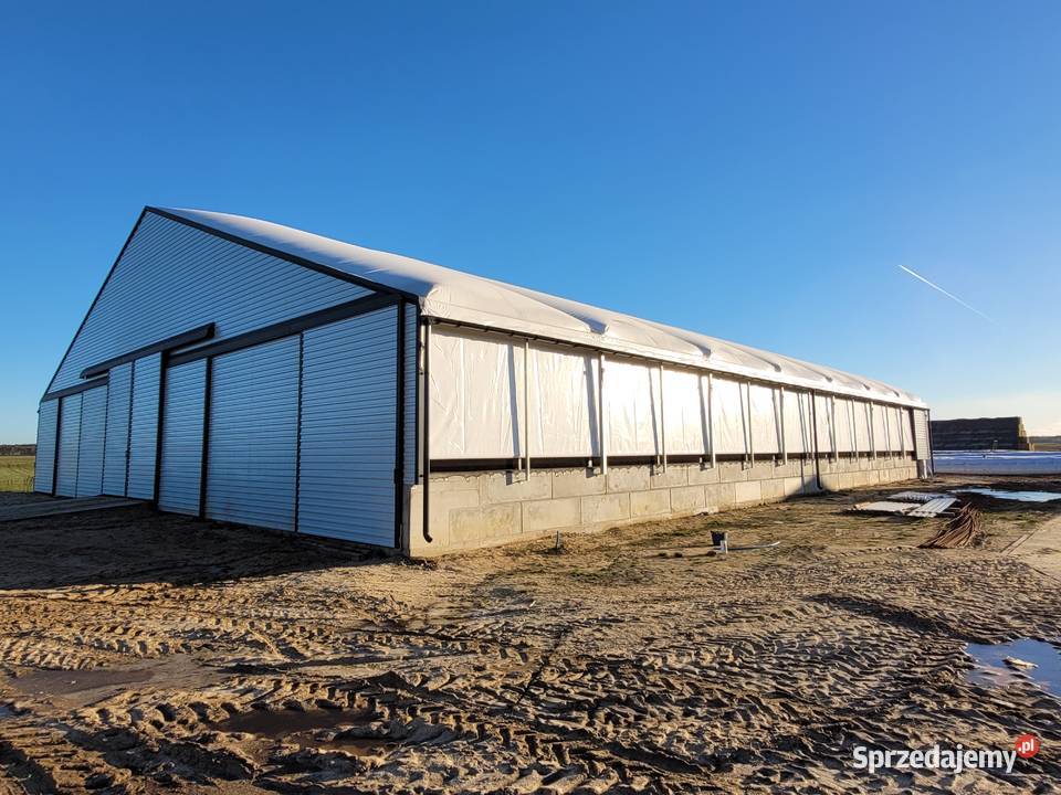 Konstrukcja stalowa hala stalowa Łosice