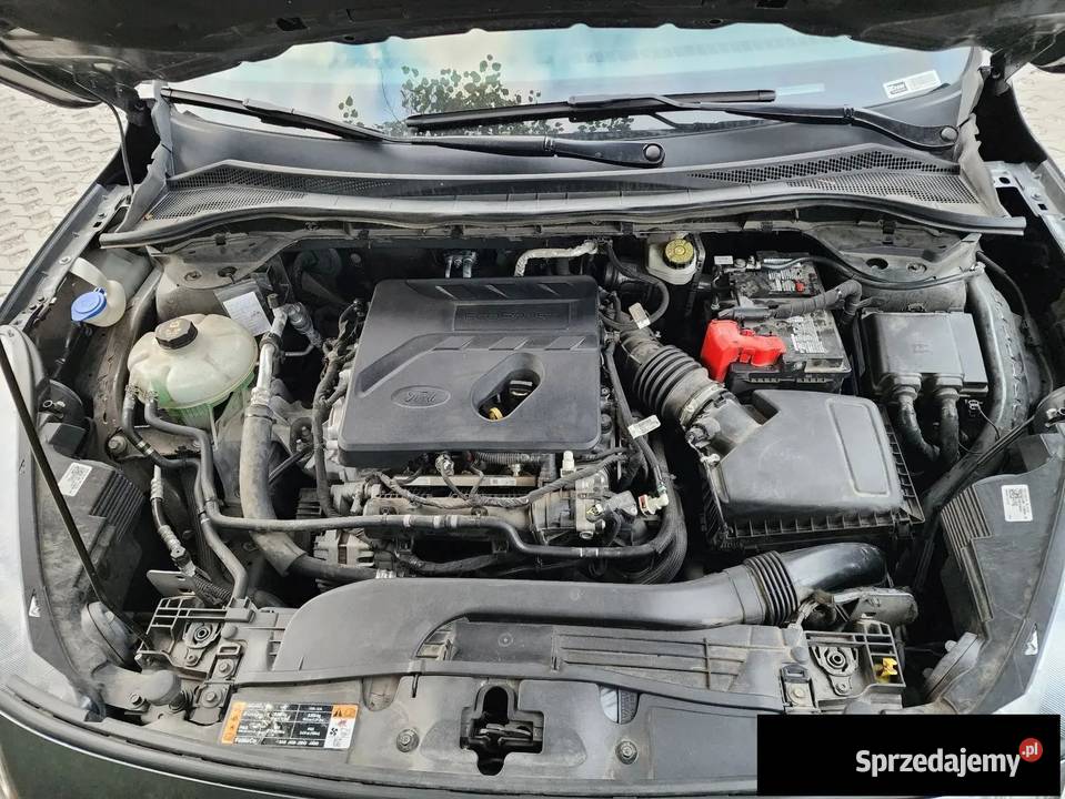 Ford Escape 15 Benzyna 181 2020r EscapeKuga SEL mazowieckie Wiązowna Kościelna