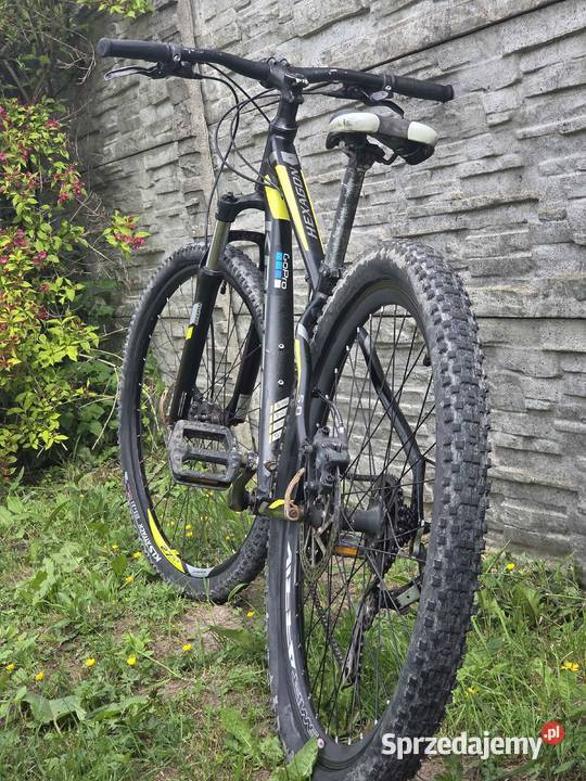 Kross Hexagon 50