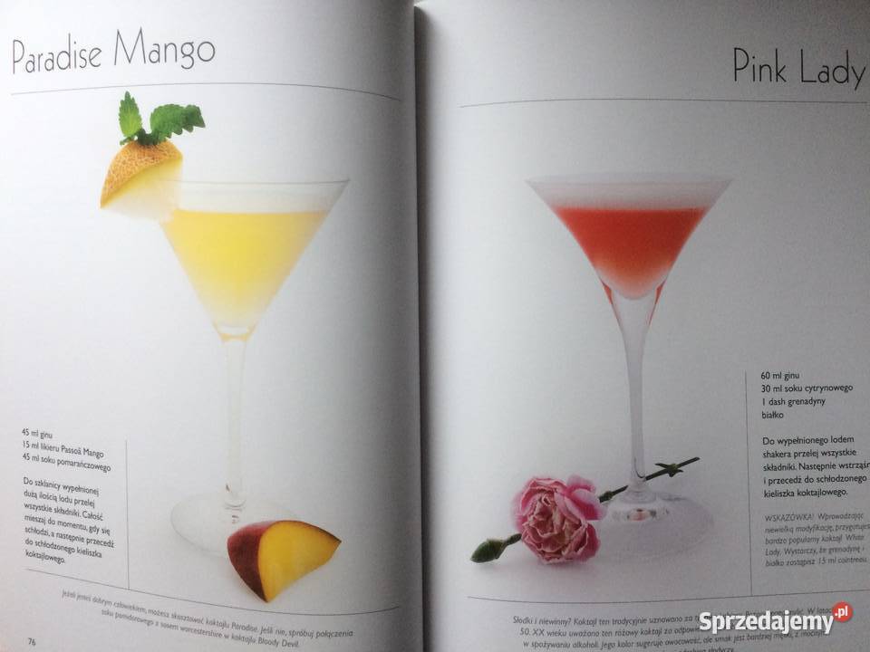 3542 Drinki I Koktajle Szczecin