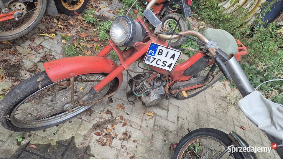 Komar zarejestrowany podlaskie Białystok