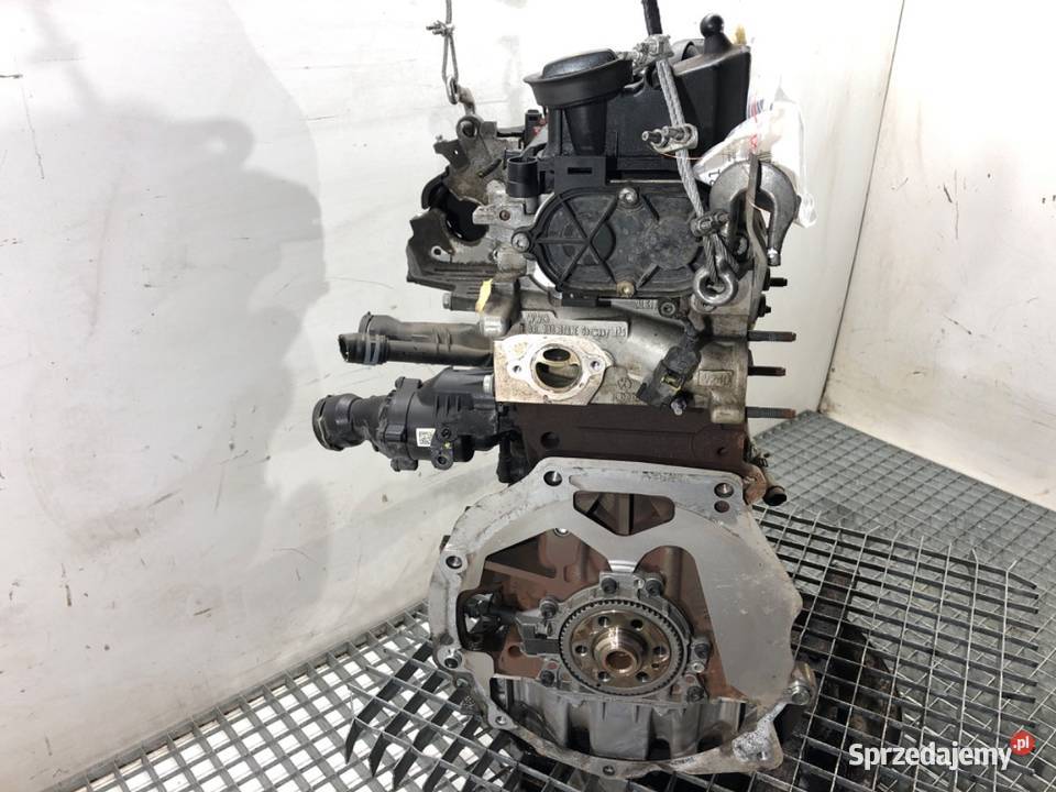 SILNIK SKODA 16 115 DGT OCTAVIA III podkarpackie sprzedam