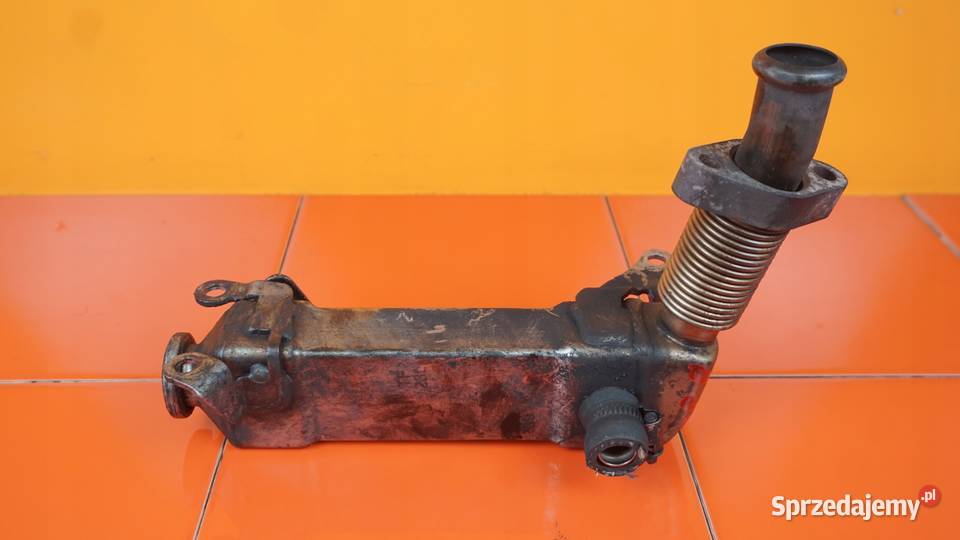 BMW X3 E83 20 D 07r 150 MAN M47D20 204D4 Motoryzacja Suków