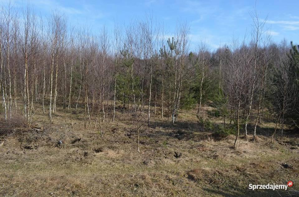 działki rekreacyjne 3000m2 pomorskie Kościerzyna