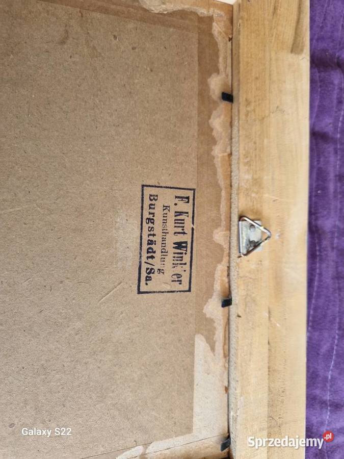 Obraz Anna Gasteiger dolnośląskie Wrocław