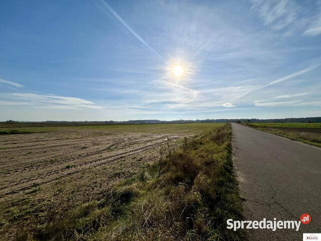 Działka Tończa 11600m2