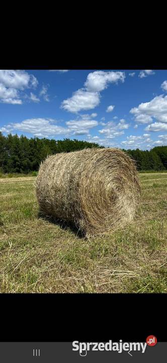 Siano bale 120x120 zbiór 2026r