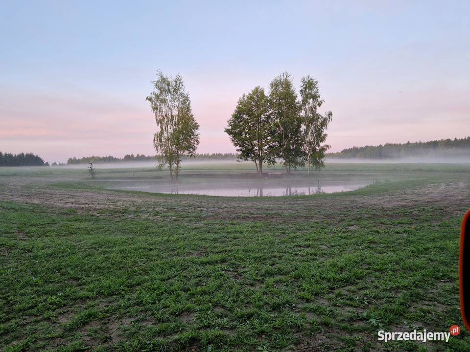Urokliwa działka rekreacyjna ze stawem Lubomino sprzedam