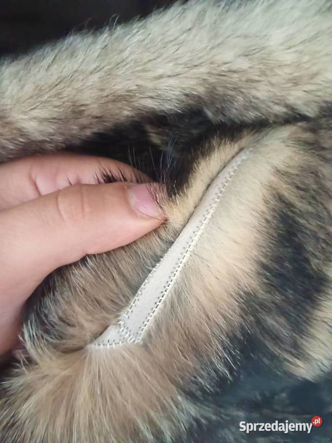 Futro z wilka Moda i Styl śląskie Dąbrowa Górnicza