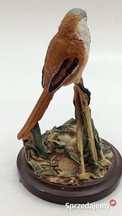Figurka ceramika ptak wąsatka Zamość sprzedam