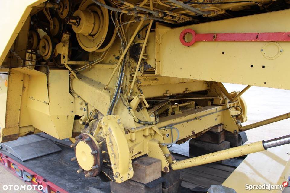 Holland TX36 tx34 Sokoły