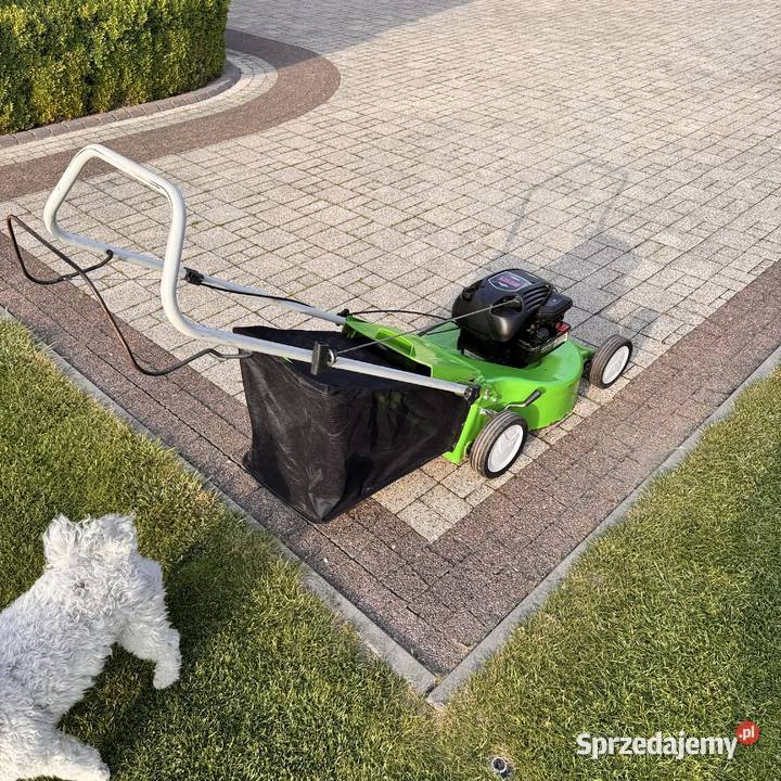 Kosiarka spalinowa Viking MB 248 kosz 3017 dolnośląskie Lubin