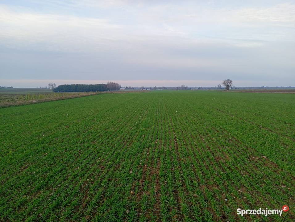 SIEWNIK NABUDOWANY TALERZOWY 3m