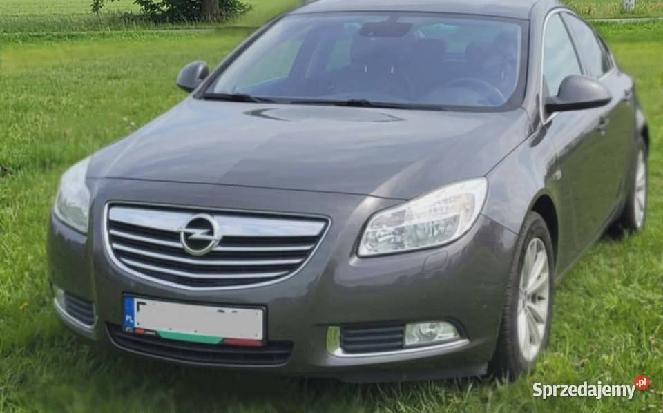 Opel Insignia 2011 Ecoflex Super Stan CD