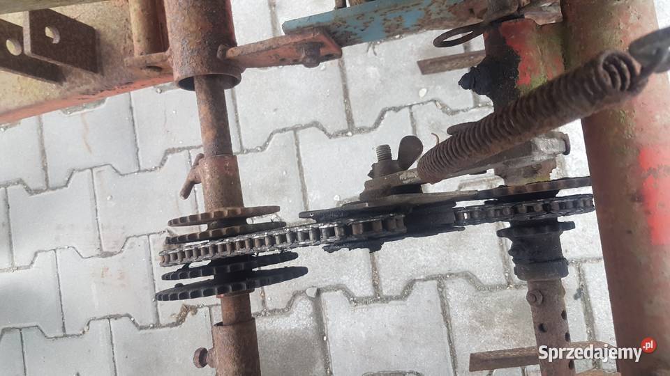 Sadzarka Gruse taśmowa Bochnia