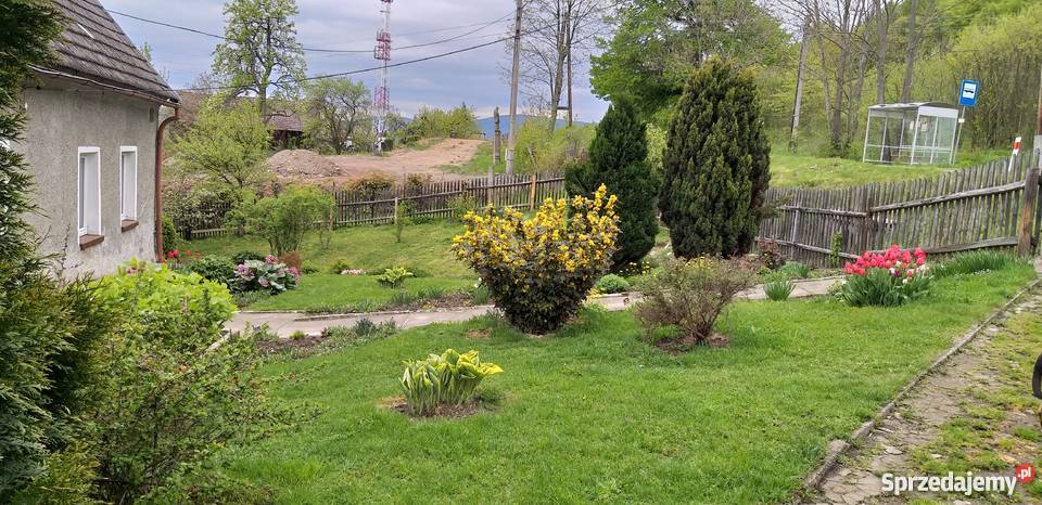 Sprzedam dom w WoliborzuKotlina Kłodzka do zamieszkania Domy Nieruchomości Wolibórz