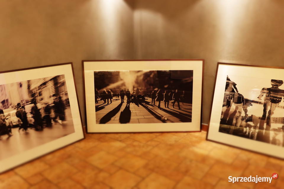 Komplet pięknych fotografii w metalowych ramach Pszczyna