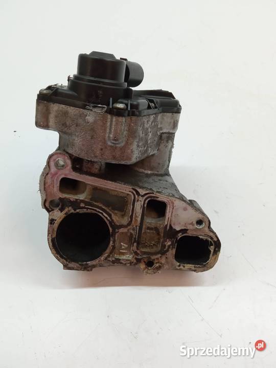 ZAWÓR EGR 24404025 5WK9186 22 16V Opel Vectra