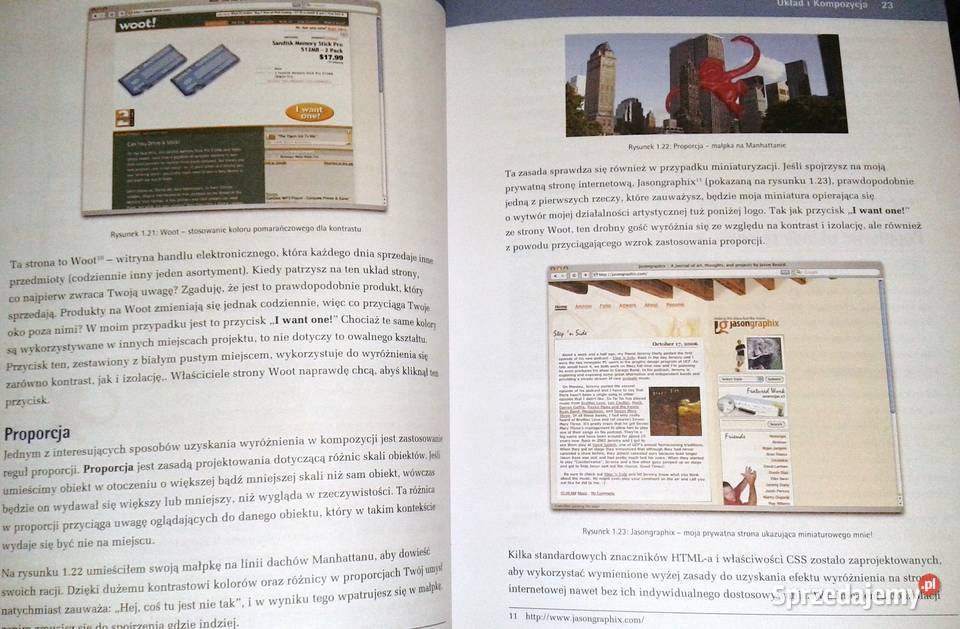 Artystyczne projektowanie stron internetowych Pozostałe Chełm