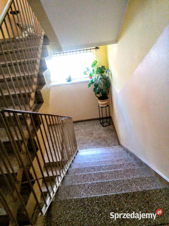 Mieszkanie 2 pokoje Sprzedaż Wałcz