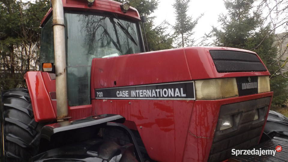 case international Łuków