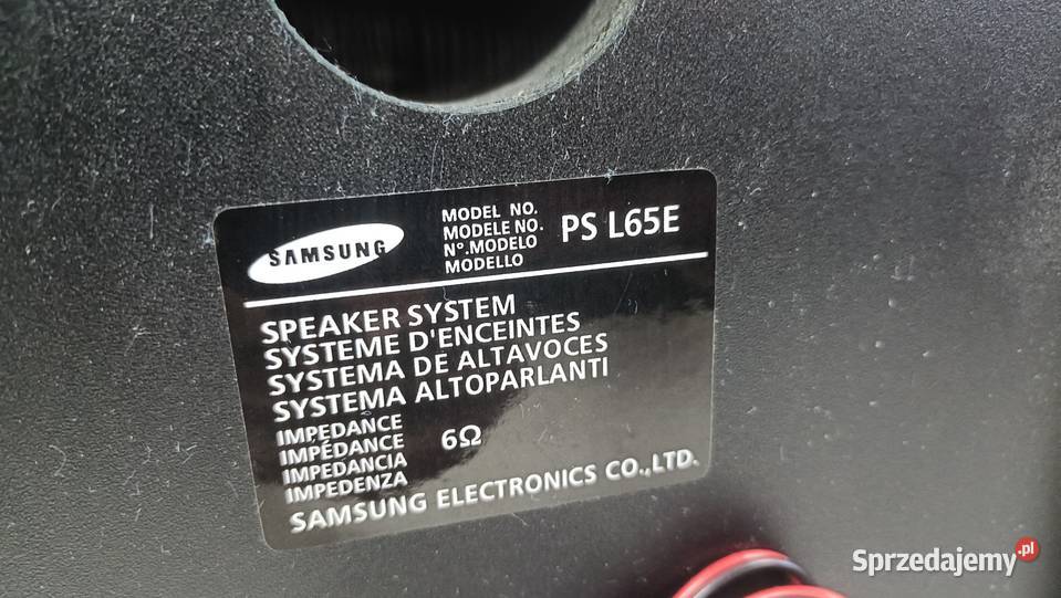 SAMSUNG L65E Kolumny audio z kablami i Poznań