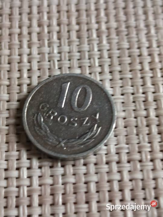 Sprzedam 10 gr 1981 r Numizmatyka Chełm