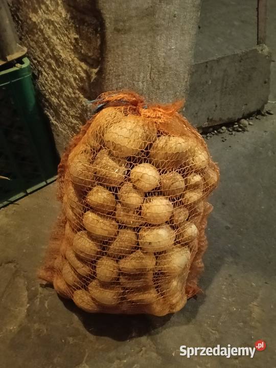 Sprzedam ziemniaki Nowa Wiśniewka