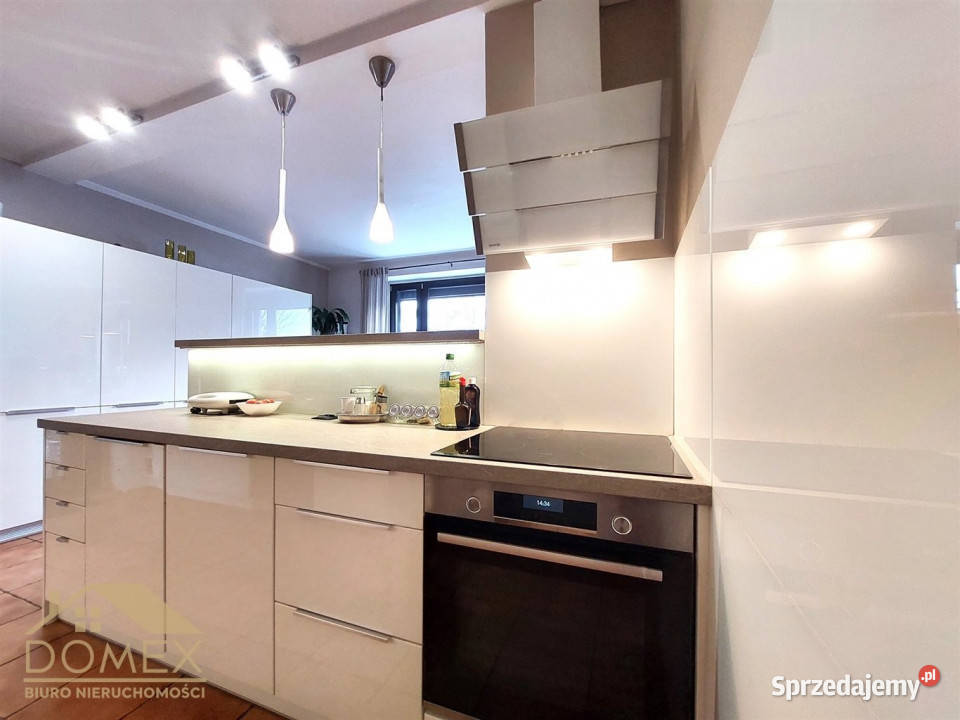 Dom wolnostojący Rybnik 440m2 śląskie