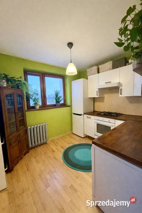 Przestronne mieszkanie centrum Gliwic piwnica Gliwice