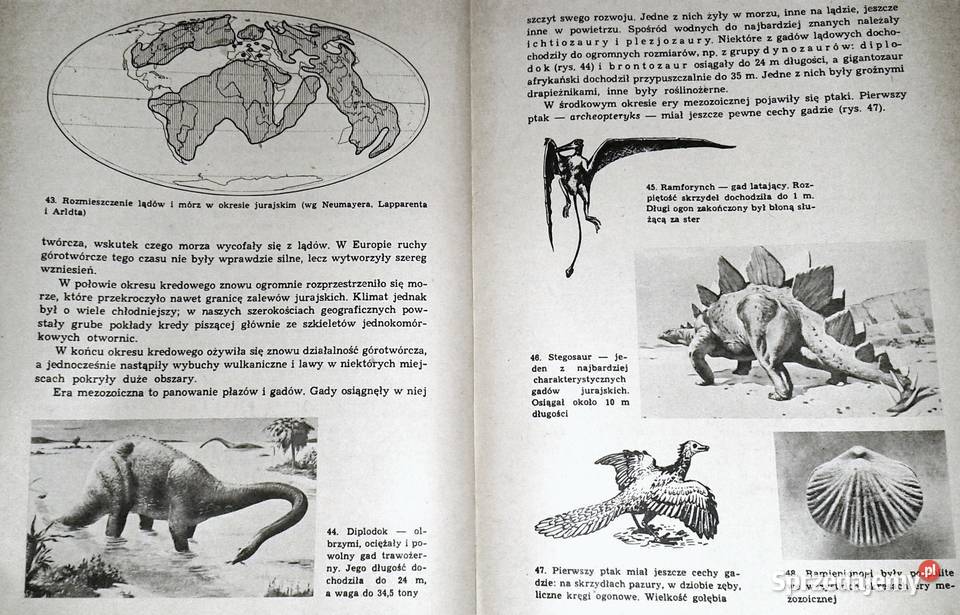 Geografia kl 1 LO J Gluziński H RadliczRuhlowa Chełm