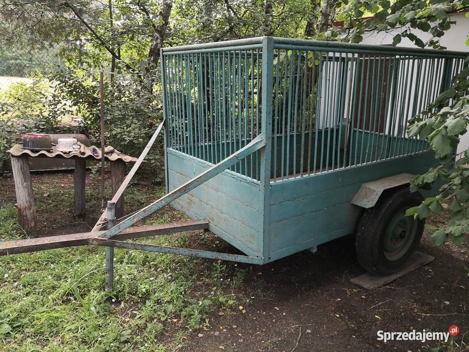 Sprzedam dwukółkęprzyczepkę ciagnikową nieuszkodzony Płoniawy-Bramura