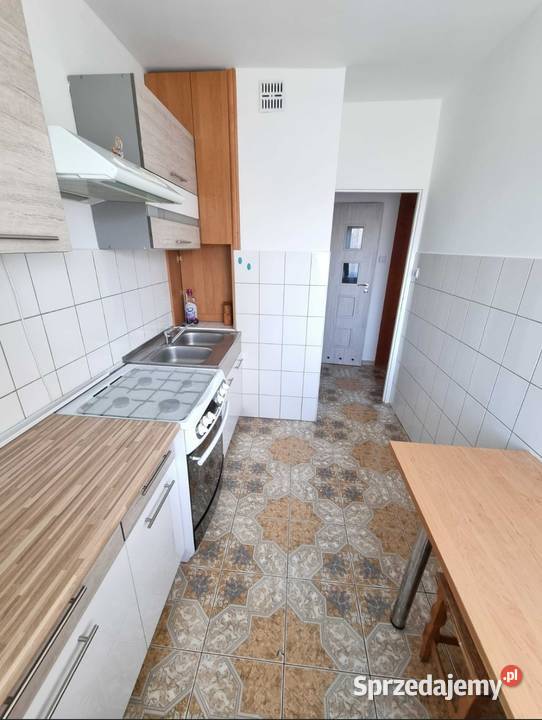 AKTUALNE Mieszkanie 495m2 Okrzei punktowiec 1 łódzkie Bełchatów