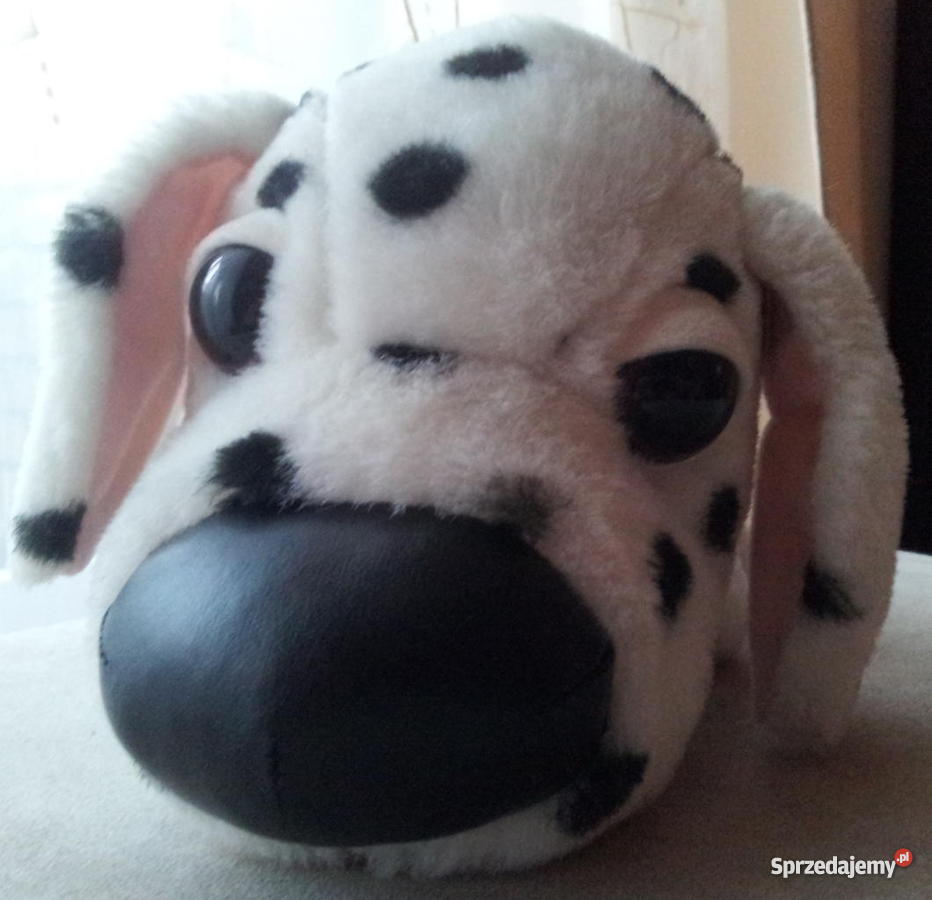 Maskotka The Dogduży Dalmatyńczyk Maskotki mazowieckie Warszawa