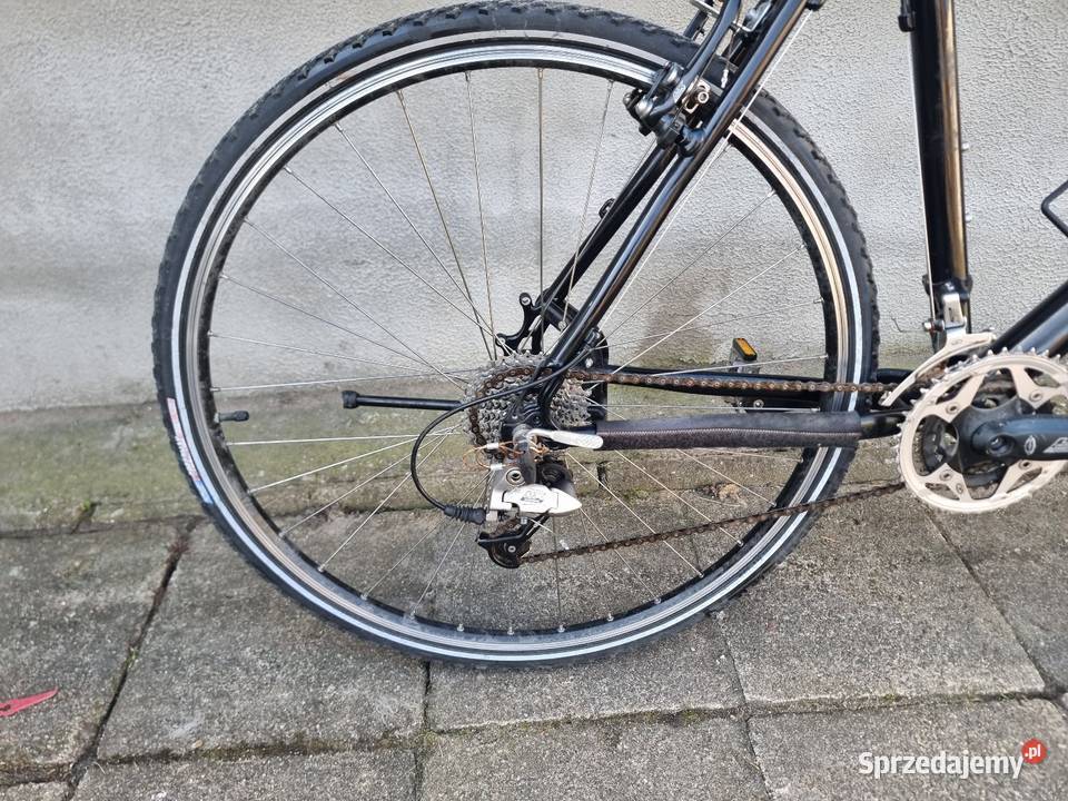 Rower treningowy LiBike Dębno